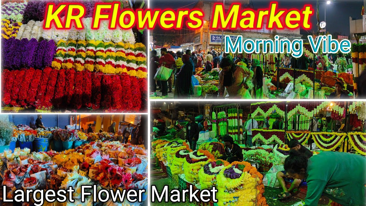 5 AM KR Market Flower Market 😲 | Bengaluru Morning Life Vlog #Vlog55 