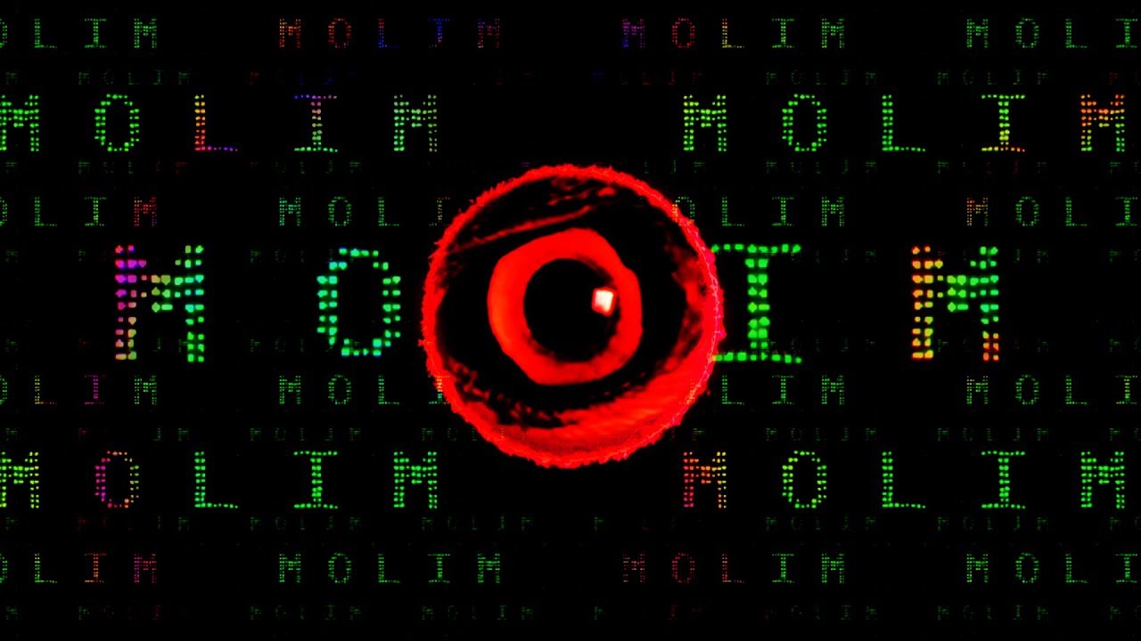 FRAIO - Moalim