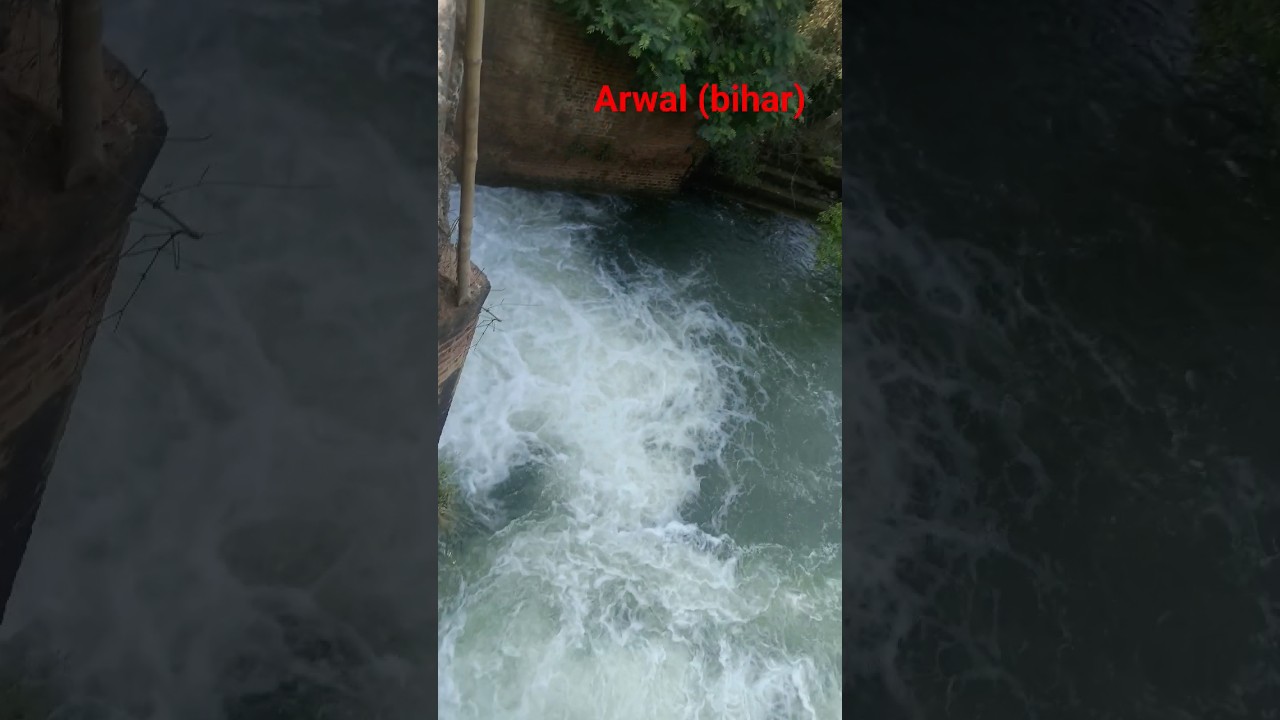 ARWAL (BIHAR) ka lekh #shorts my first blog