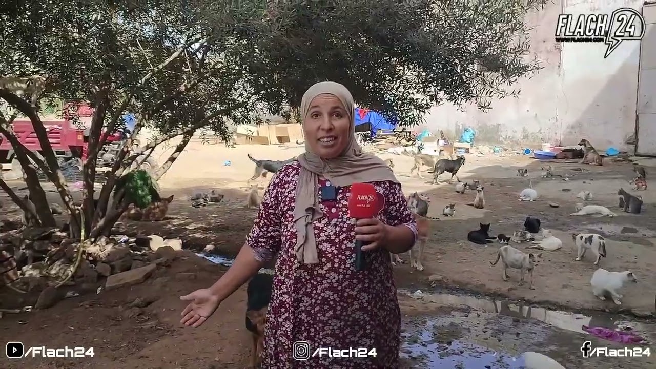 شوفو كيفاش عائشة حنان من سلا حنان  مع 500 كلب و 600 قط   وكيفاش كتوكلهوم ومنين كتصرف عليهم