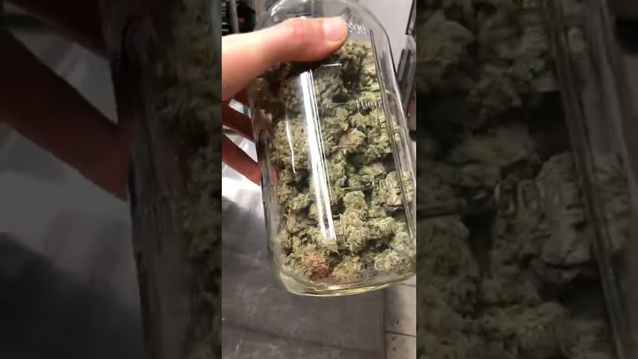 Gusher  2.57 grams per watt