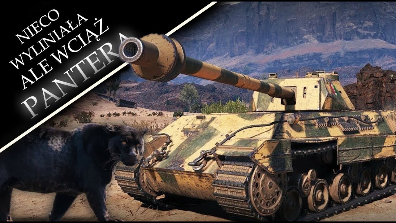 P.44 PANTERA - dziki kot czy wyliniały futrzak?