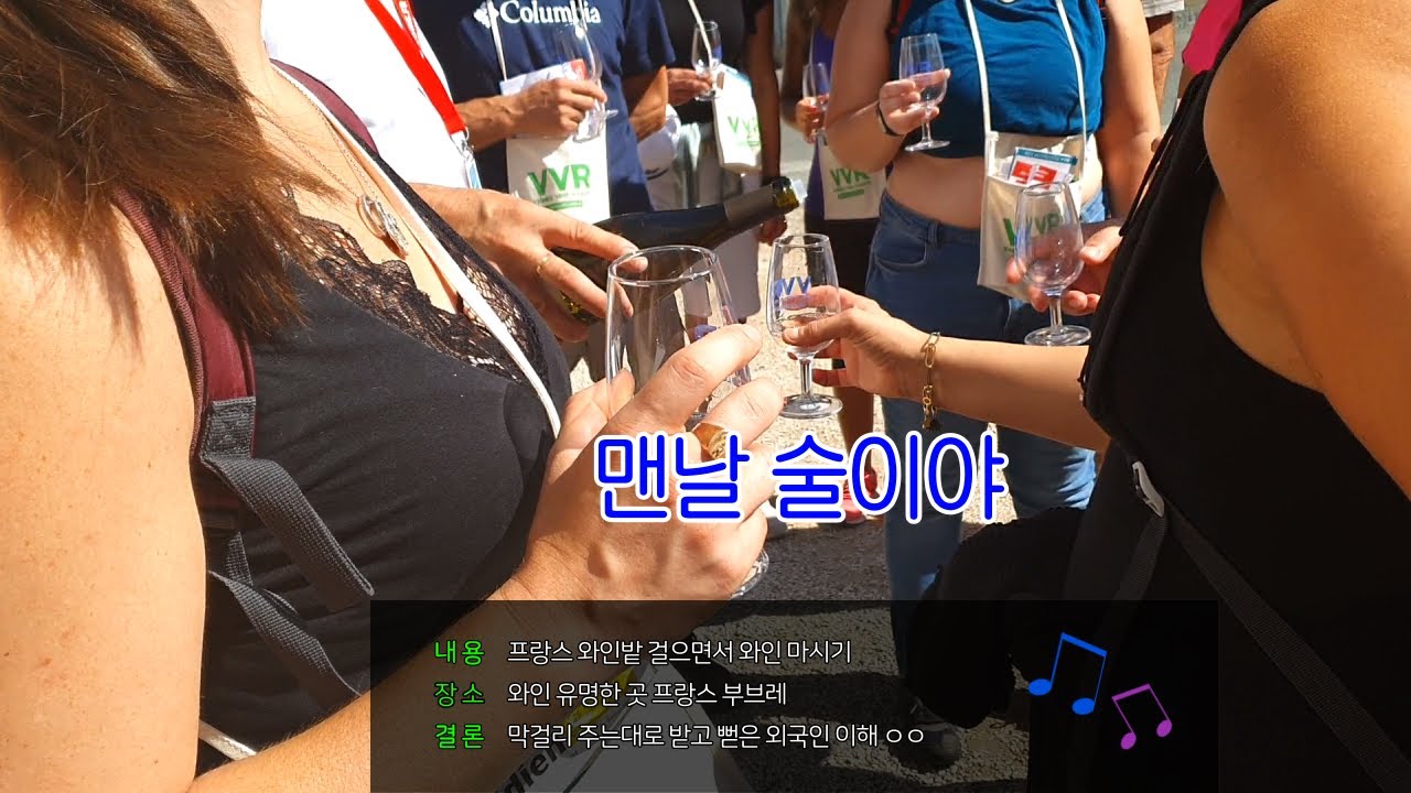 프랑스 와인밭 걸으며 와인을 주는대로 마셔보았습니다. Rendo Vin en France