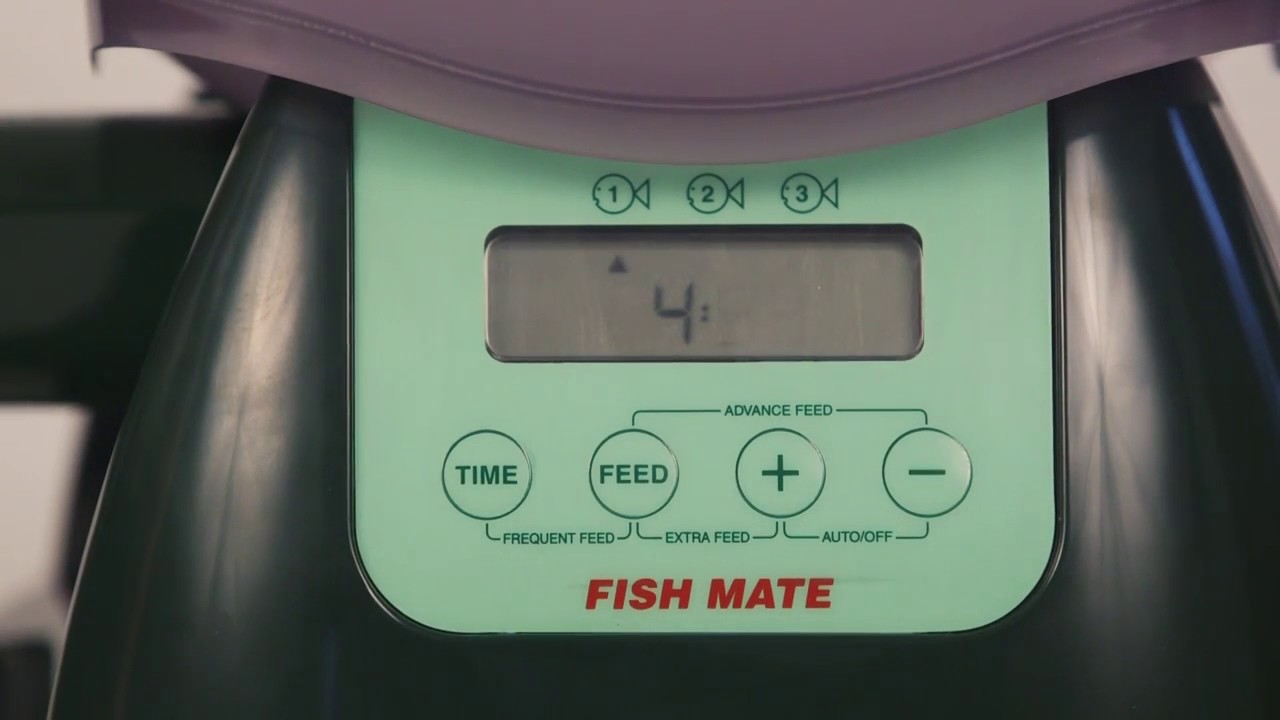 How To Set Up Fish Mate P7000 Automatic Feeder