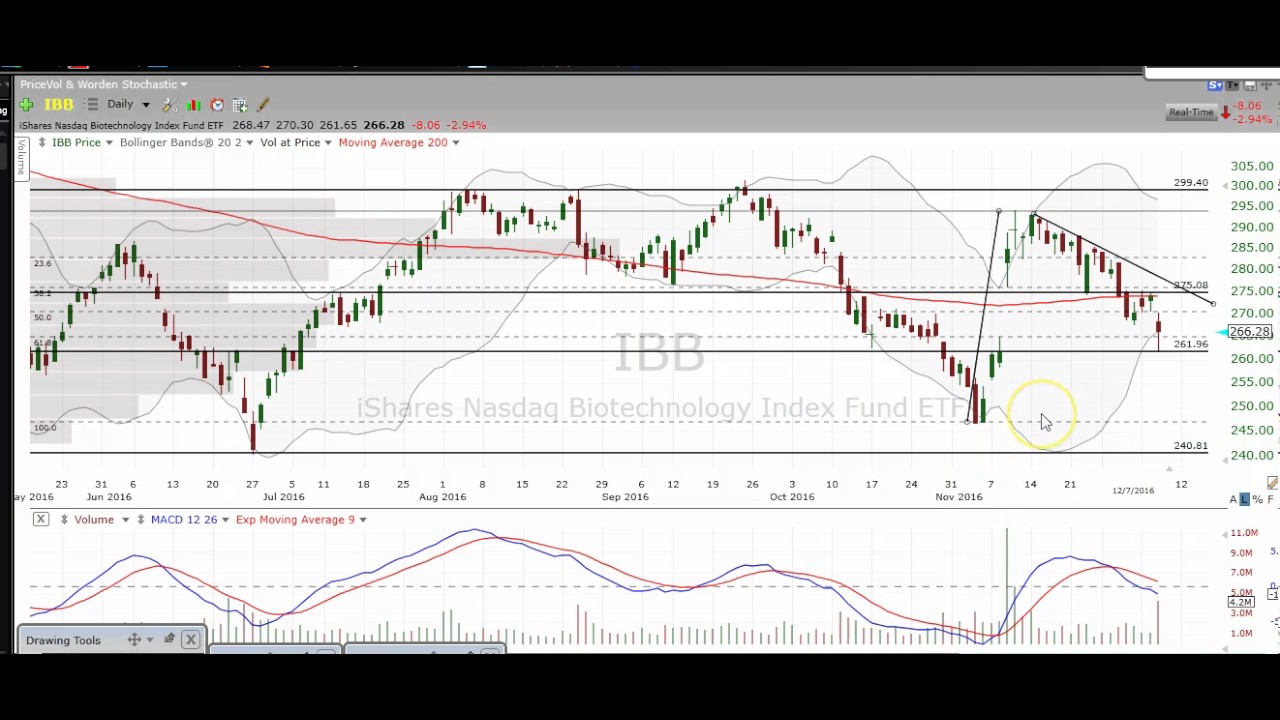 Biotech Chart Technical Analysis $IBB $NBI $XBI $UBIO $LABU $LABD $BIB $FBT $GILD $BIIB $CELG $AMGN