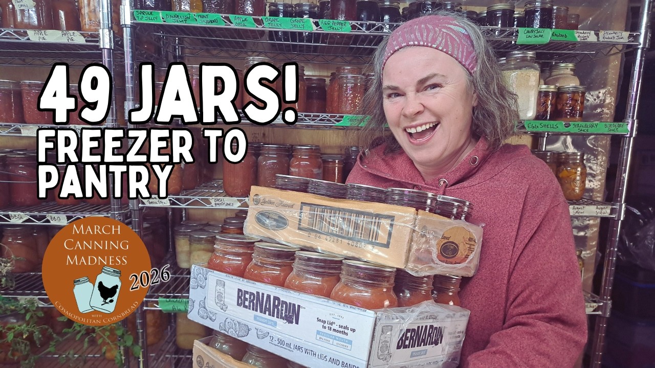 MARCH CANNING MADNESS! I Canned 49 Jars of Food From The Freezers!