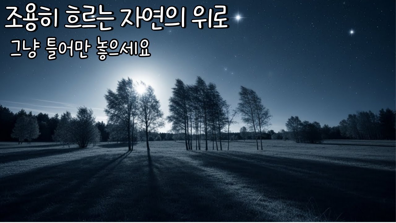 달빛 아래 자연 🌙 감성 힐링 BGM | 고요하고 편안한 음악