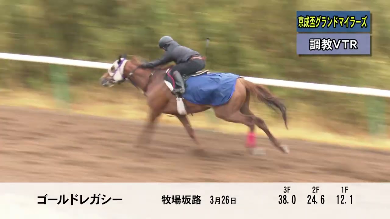 2026年京成盃グランドマイラーズ調教VTR