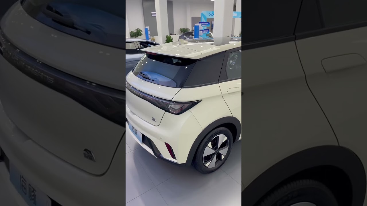 BYD Dolphin 2024