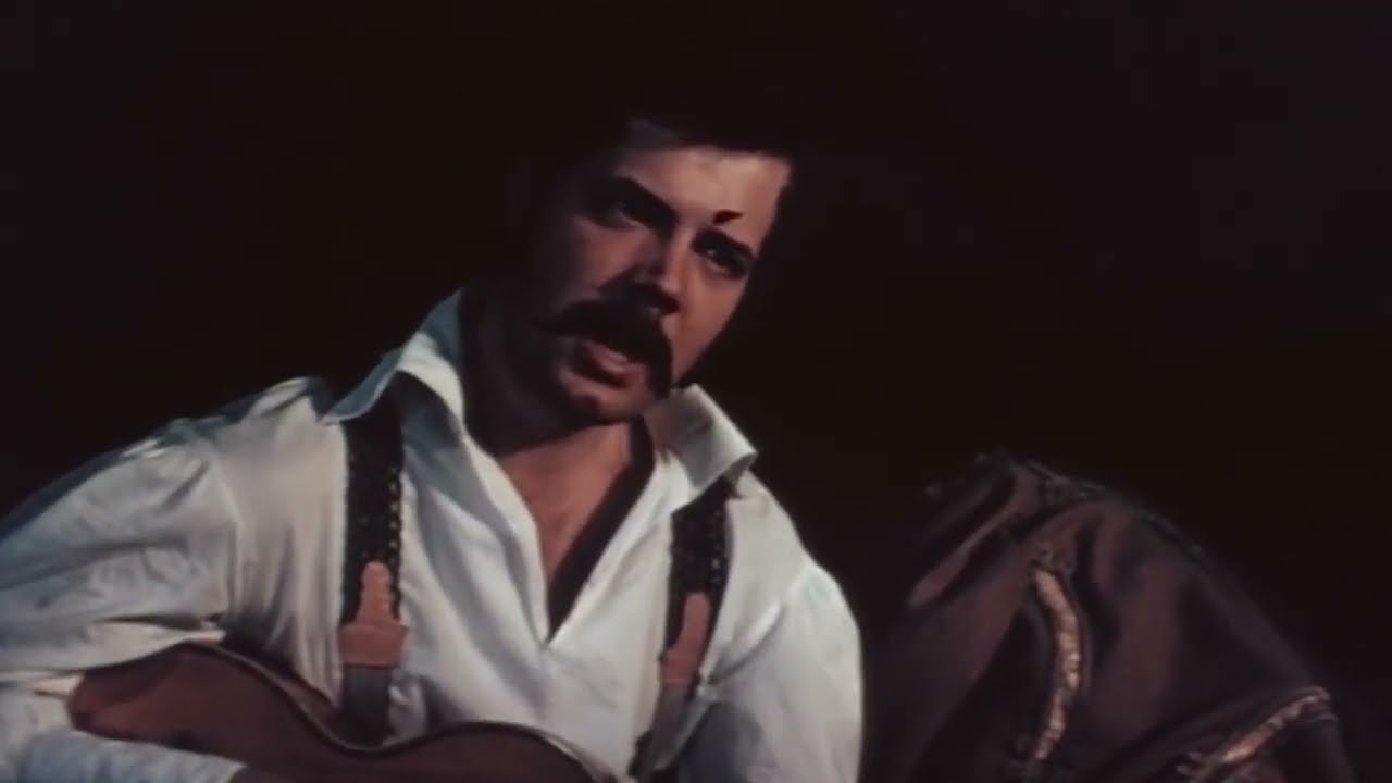 Николай Прилепский - Романс с уклоном в цыганщину (Дайте только волю)