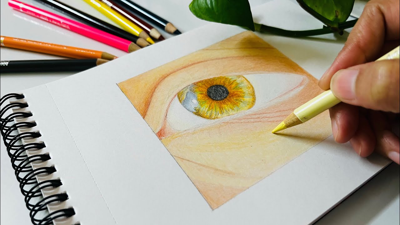 How to Draw a Realistic Eye with Colour Pencils | Part 1 – Structure,Outline & Base Layers Real time