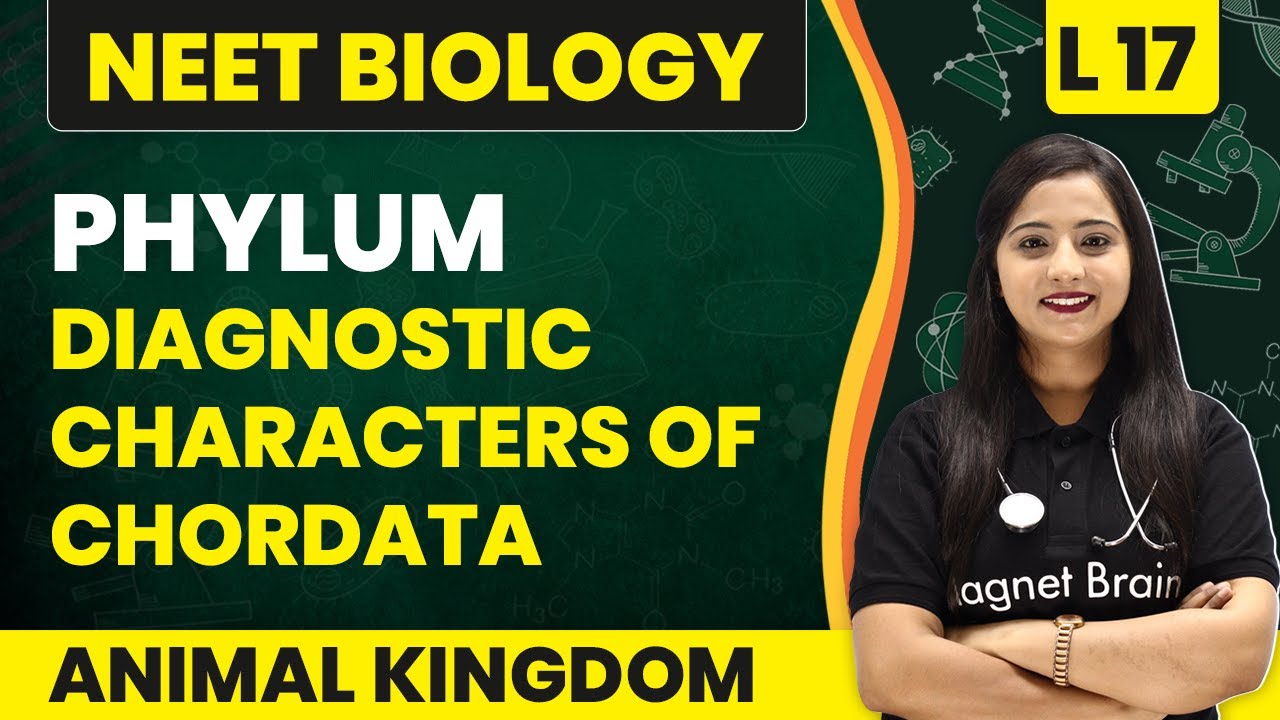 Phylum - Chordata | Characters of Chordata | Animal Kingdom - L17 | NEET Biology