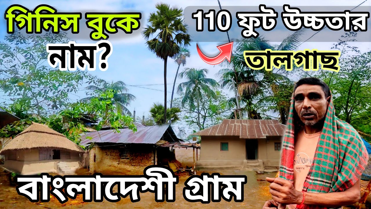 বাংলাদেশী গ্রাম | 110 ফুট উচ্চতার তালগাছ | Bangladesh Tour | Bangladesh Village | Adamdighi Bogra