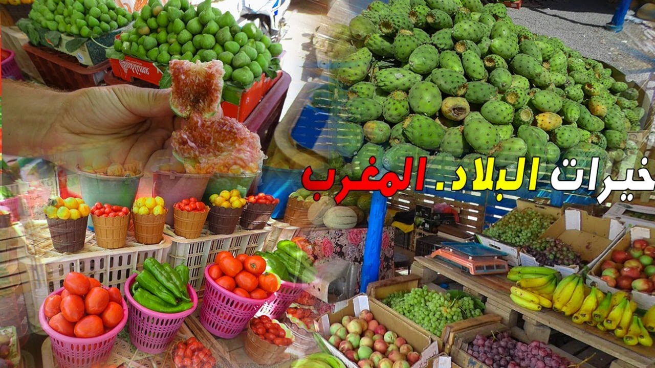 الخير بطريق مدينة السعيدية السياحية بيع الفواكه البلدية ديال الجبل [البرقوق الهندية الكرموس ] SAIDIA