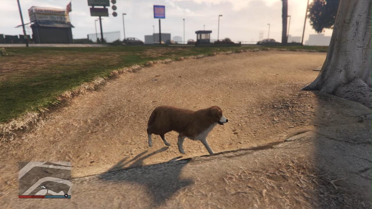 Grand Theft Auto V get them doggy yup