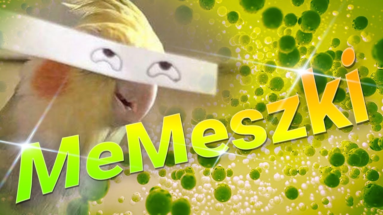 MeMeologia | MeMeszki #8