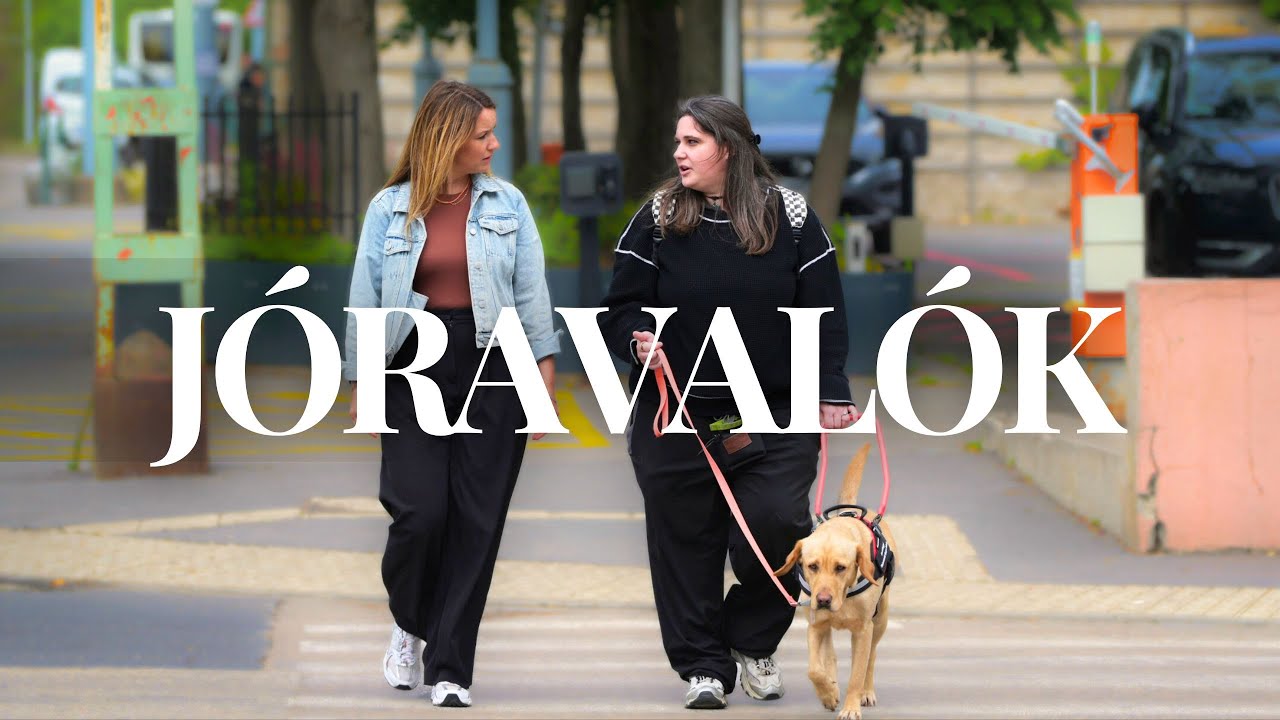 JÓ TETT HELYÉBE, JÓT VÁRHATSZ – A Baráthegyi Vakvezető Kutya Iskola Alapítvány története - Jóravalók