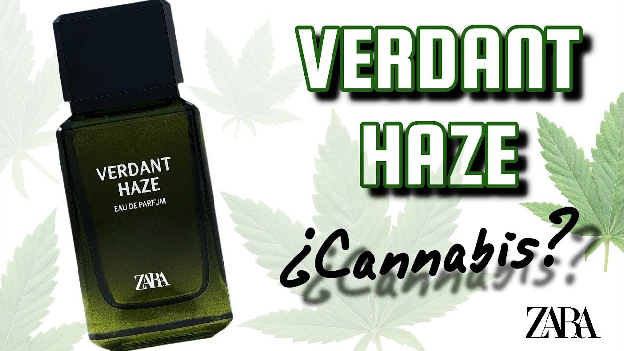 NOVEDAD DE ZARA VERDANT HAZE el perfume con cannabis.