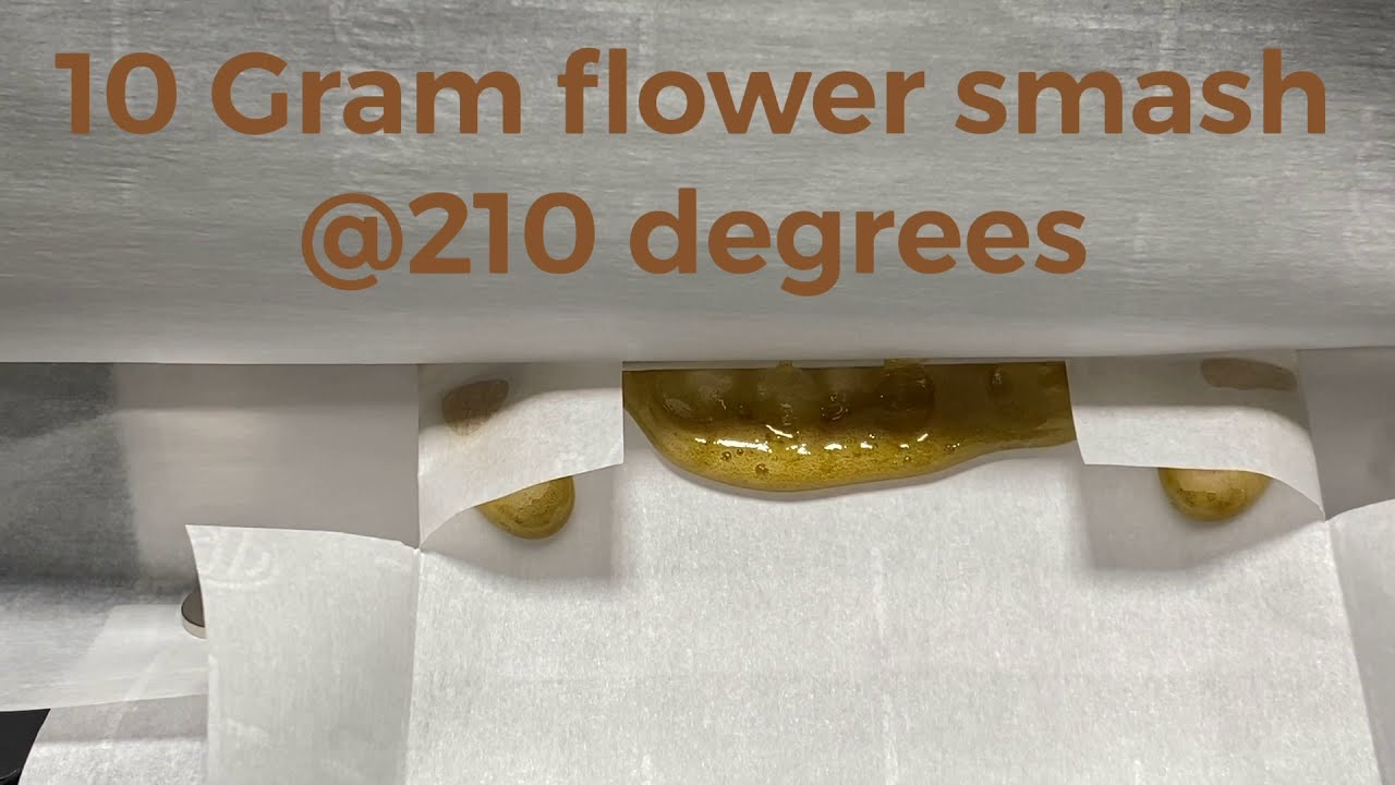 Pressing Cannabis || Bubble Hash Great Yields || How I make &ldquo;butter&rdquo; BEST ROSIN EVER!!*read dscrptn*