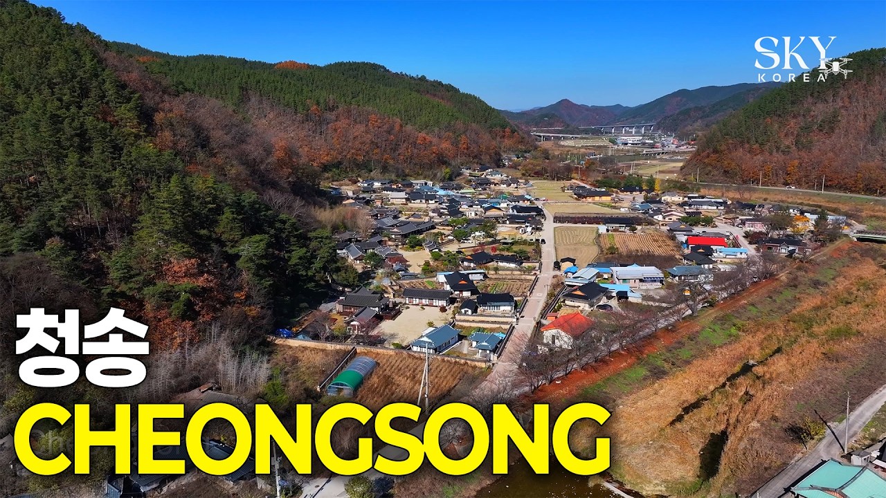 하늘에서 본 청송(4K) 4편 | 오색빛깔 단풍과 기암절벽이 빚은 마법 🍁 가을이 내려앉은 청송 비경 #청송여행 #주왕산 #가을풍경 #송소고택 #드론4K