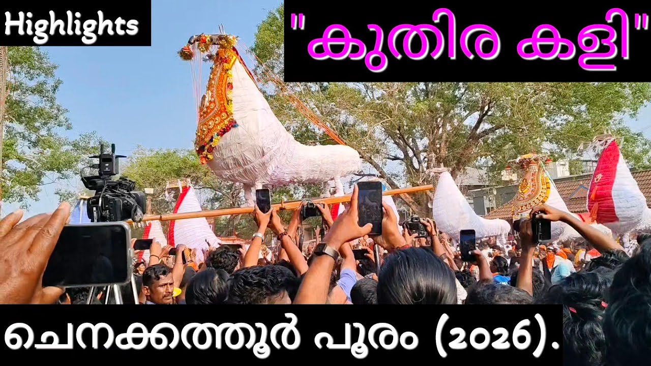 കുതിര കളി/ചിനക്കത്തൂർ പൂരം (2026). ഒറ്റപ്പാലം/. Kuthira Kali /Chinakkathur Pooram (2026).