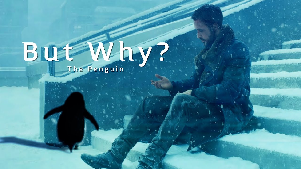 But Why? || The Penguin (Edit)