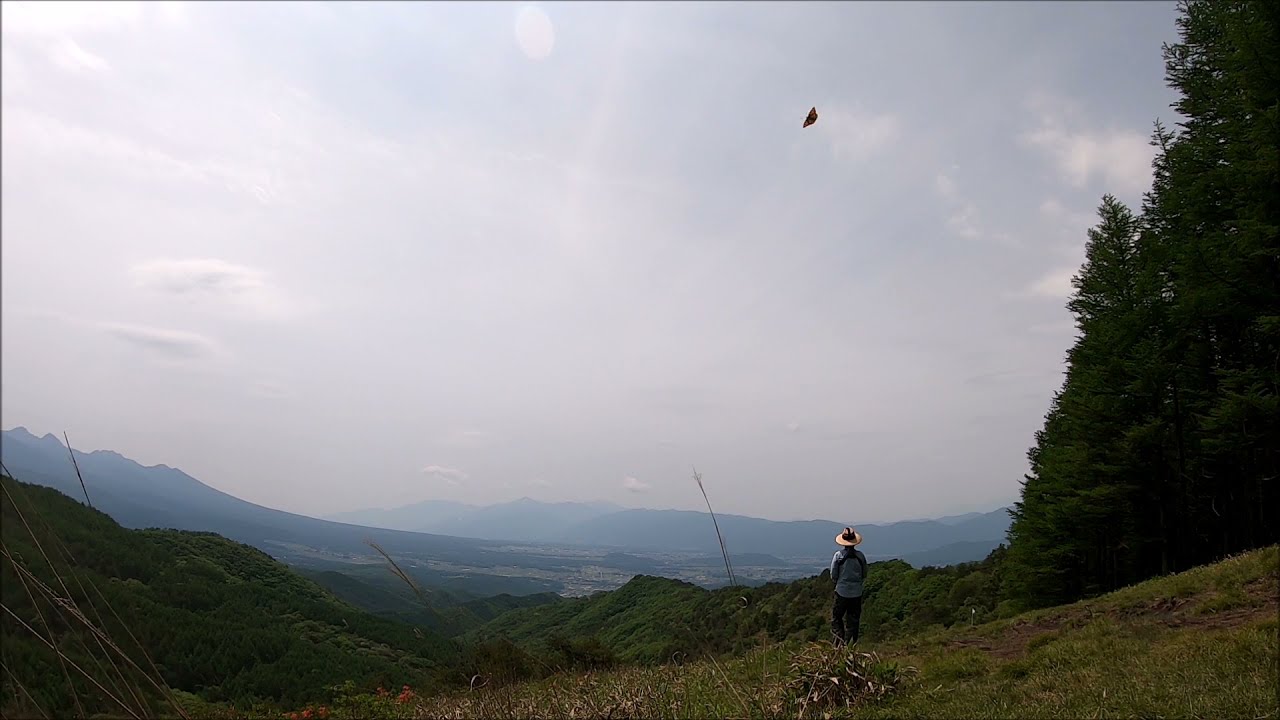 20210608 rc glider 2