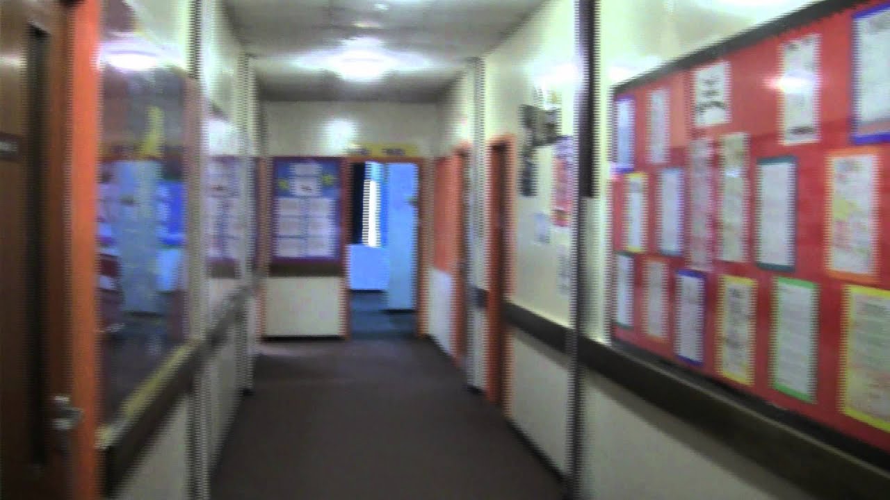 School of The Dead