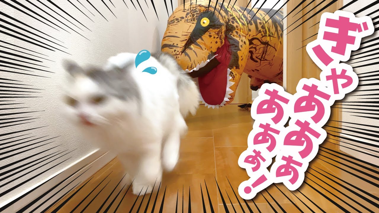 【恐怖！】突如あらわれた恐竜から全力で逃げる猫【おしゃべりする猫】 【猫アテレコ】