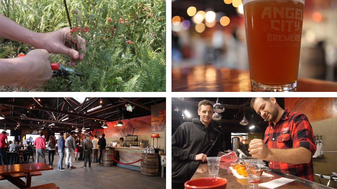 A Beer For L.A., By L.A. with NHMLA and Angel City Brewery #HowDoYouMuseum