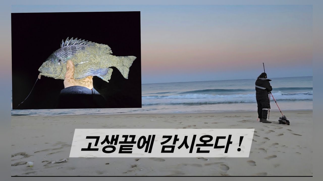 감성돔 해변 원투낚시 ㅡ야 너도 할수있어 ㅋ