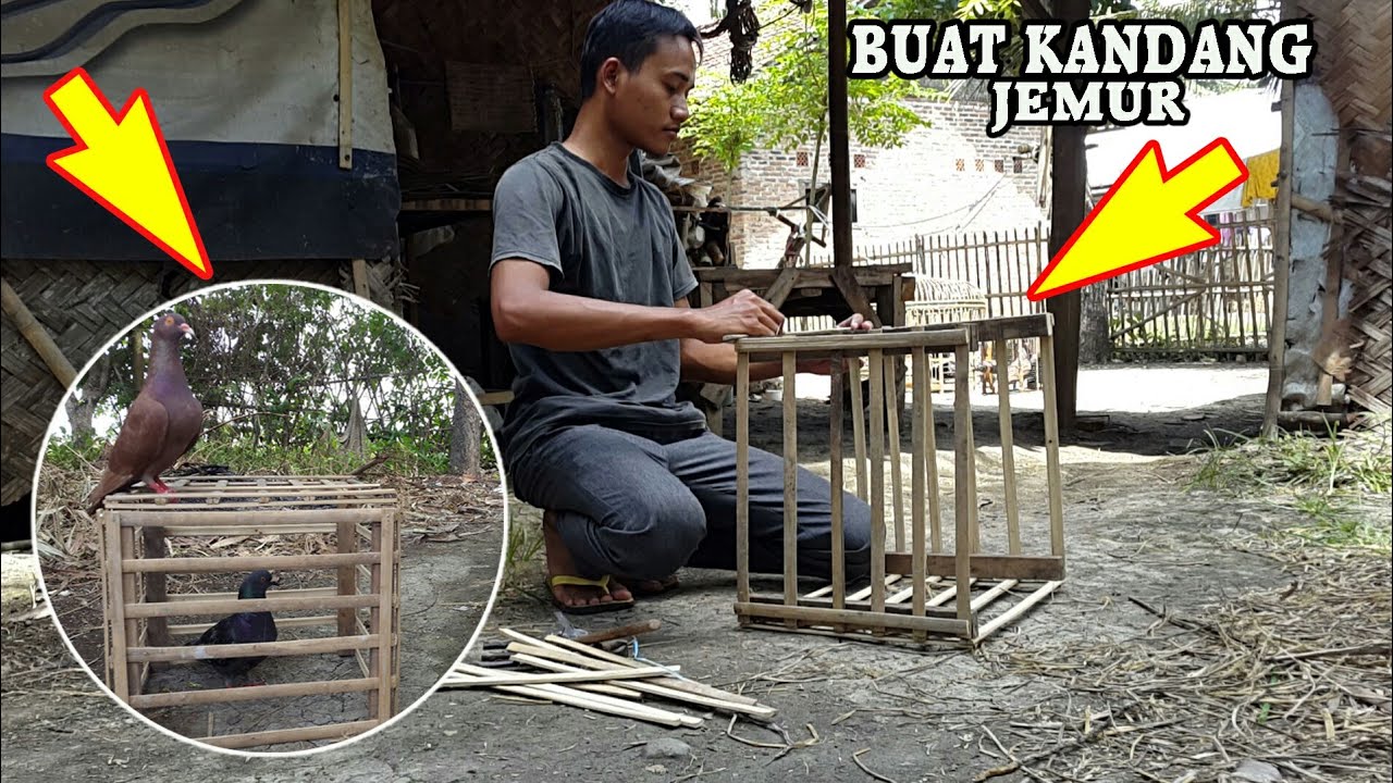 Cara Membuat Kandang Jemur Burung Merpati‼️