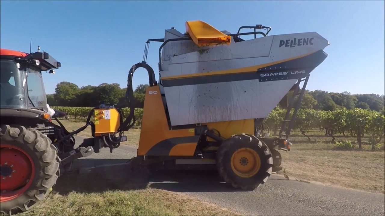PELLENC Grapes' Line 60