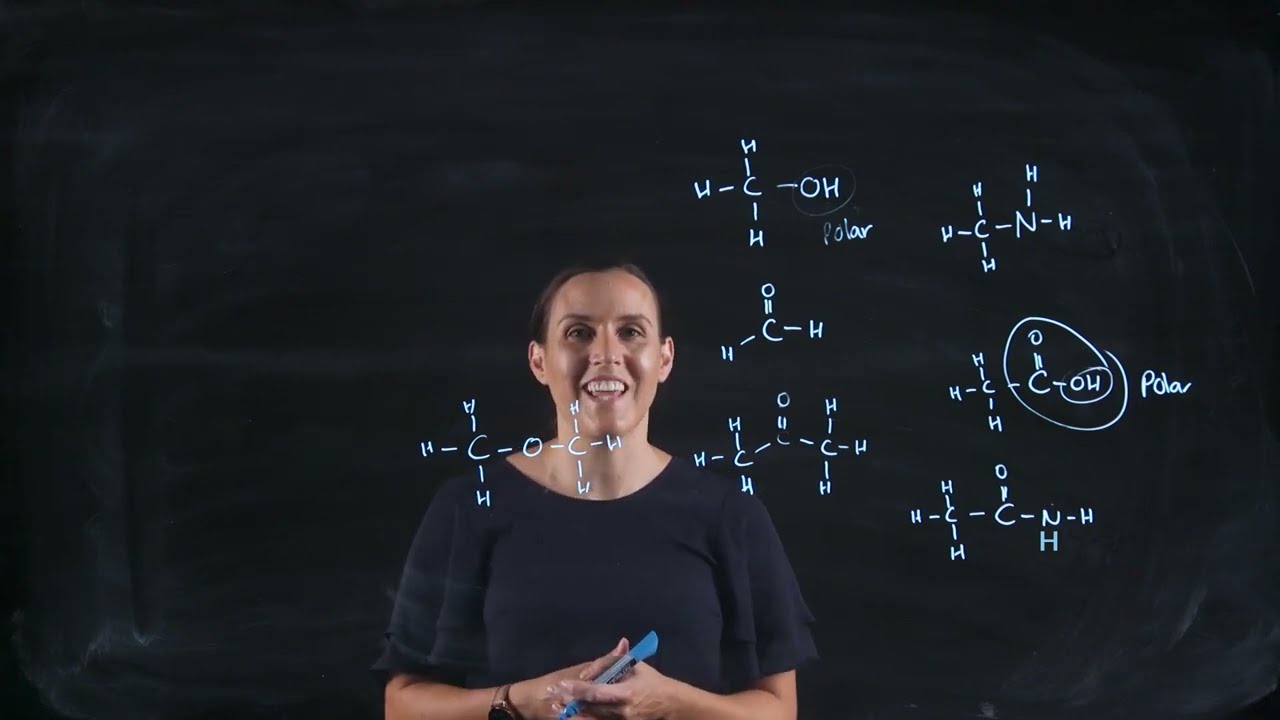 Organic Chemistry Functional Groups - Polarity and Hydrogen Bond donators and acceptors