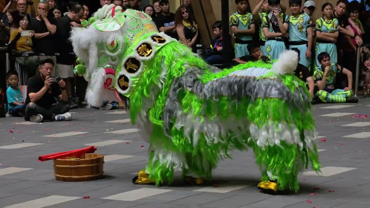 #龙狮节 Lion Dance (múa lân 舞獅) by  HuaTi  新街場華體 @ Lalaport, Malaysia.  20260201
