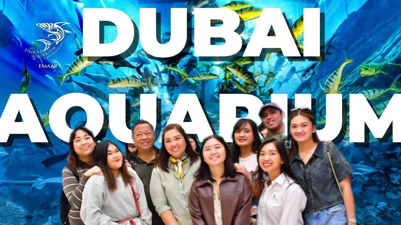 DUBAI AQUARIUM EXPERIENCE | STROLLING AT DUBAI MALL & BURJ KHALIFA VIEW