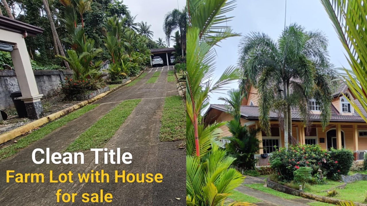 #Vlog403 CLEAN TITLE FARM LOT with HOUSE FOR SALE | Gated & Fully Concrete Fenced | Fully Developed