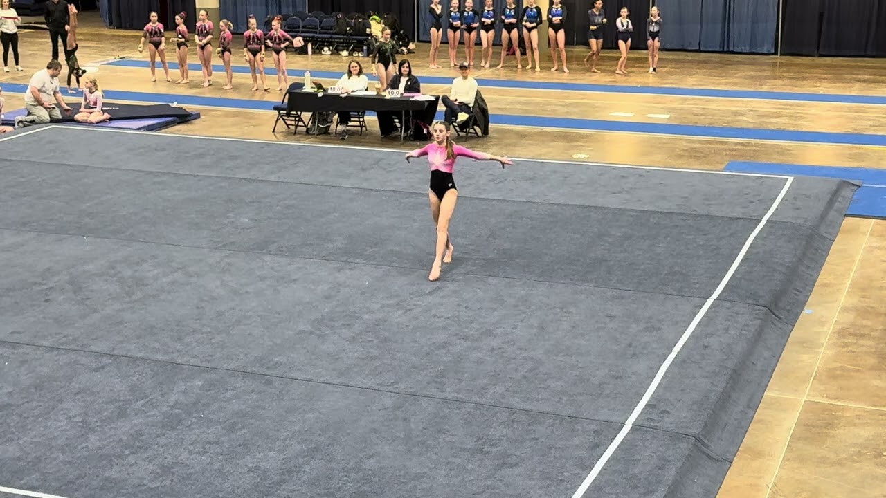Olivia Schaefer Winter Wonderland Floor: 9.175
