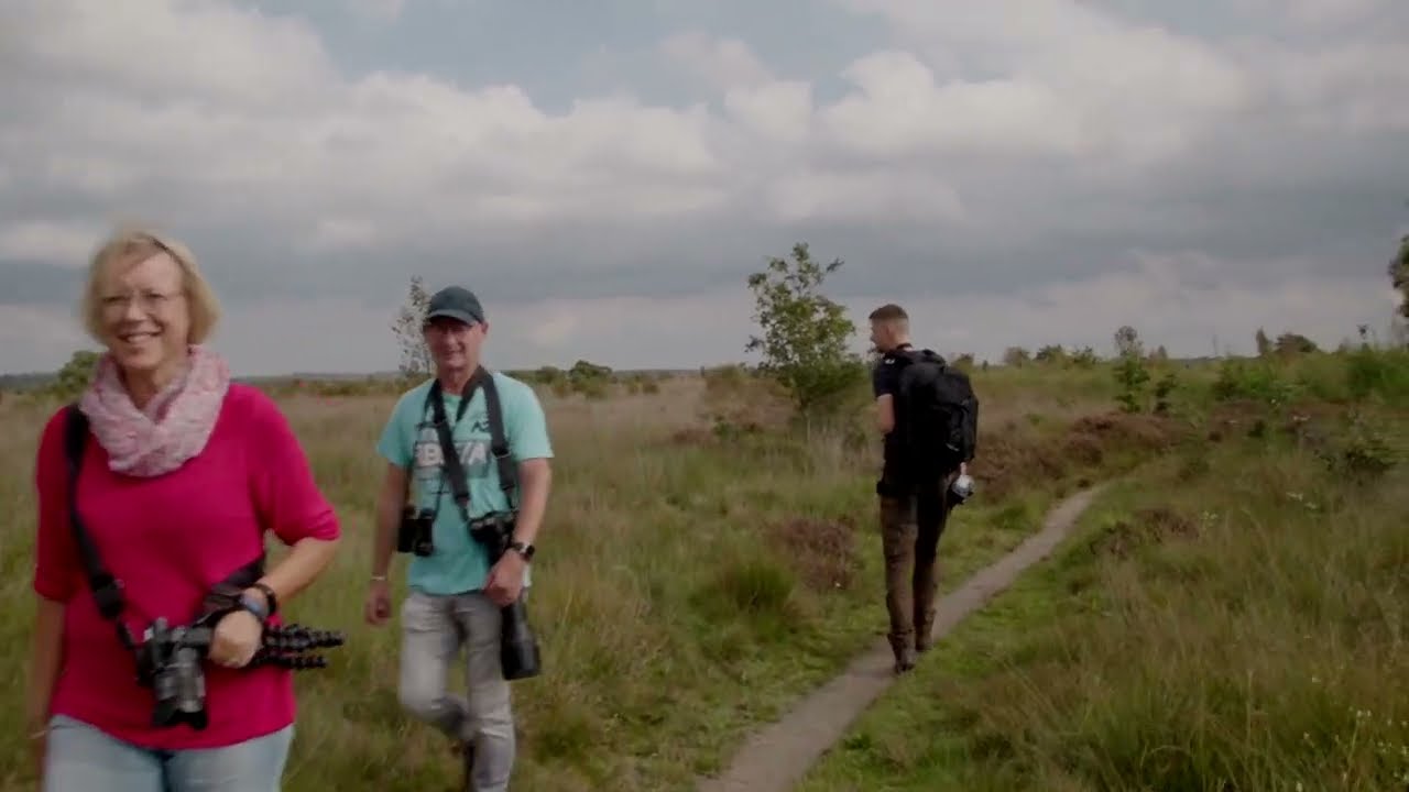 Vijf bezoekers over het Fochteloërveen