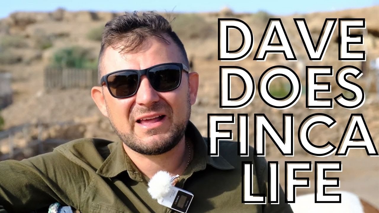 DAVE Z AMERYKI CAME TO STAY | Tenerife Horse Rescue Finca Life 65