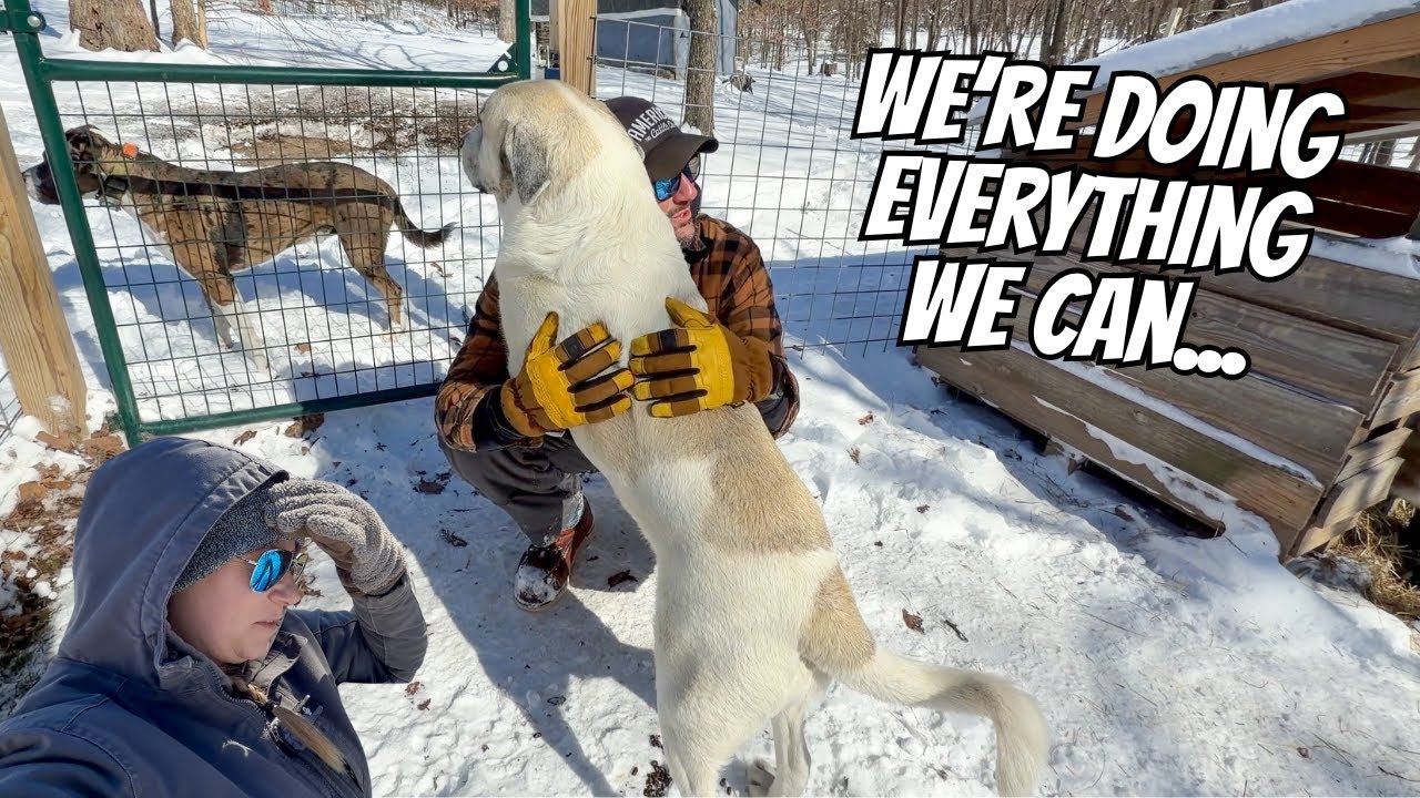 When the COLD Hits THIS Hard...