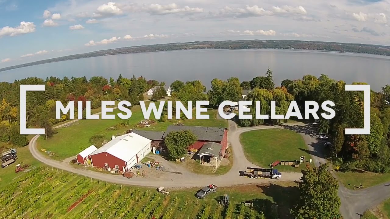 Finger Lakes Wine | Miles Wine Cellars