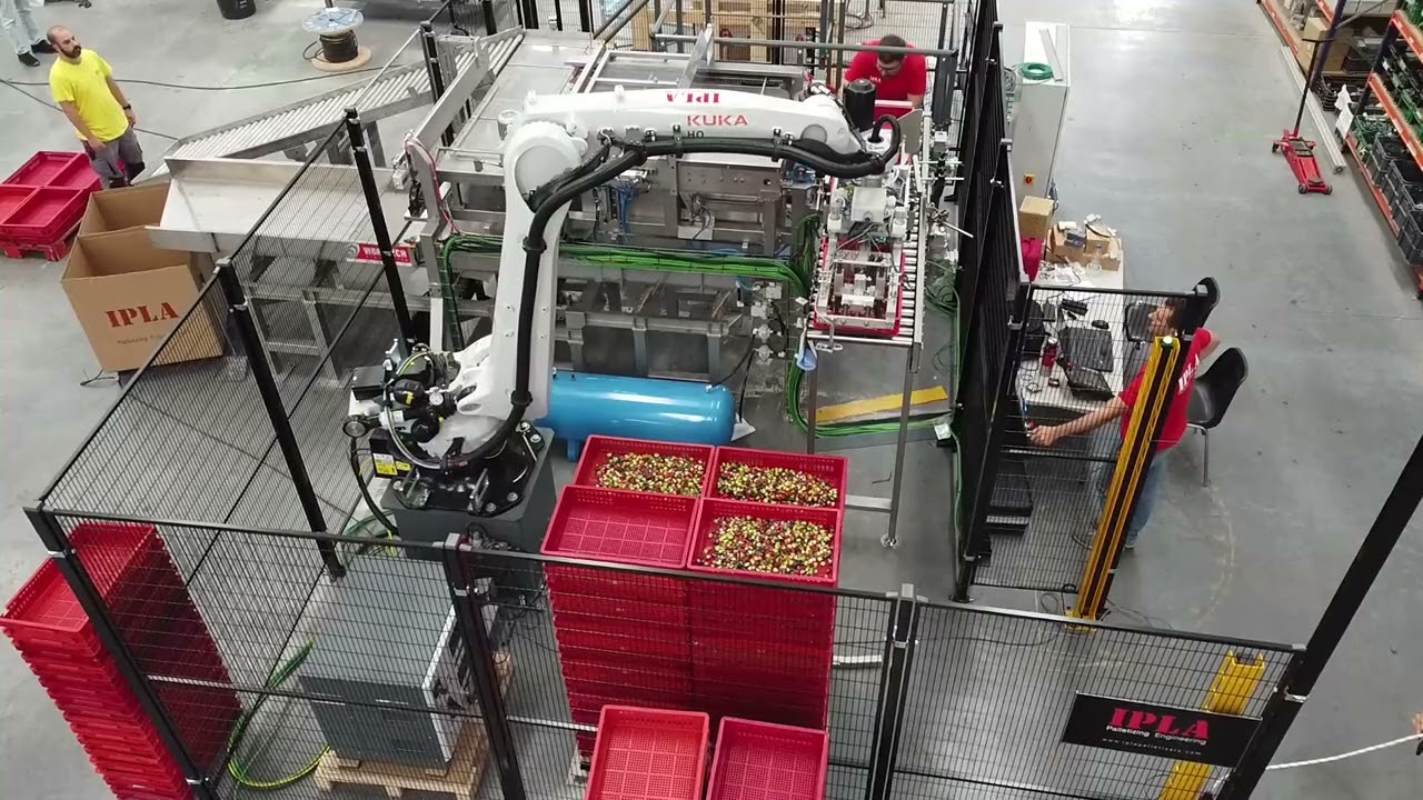 IPLA -  Trays Depalletizer