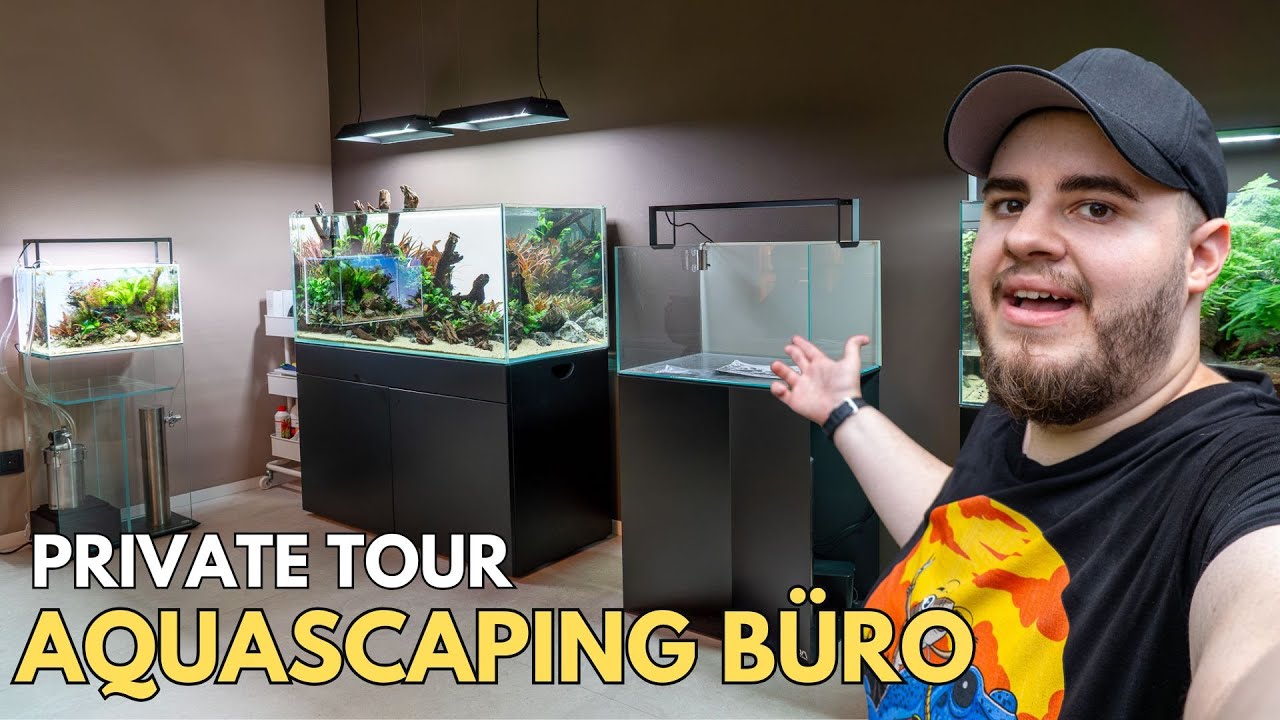 Jochen zeigt sein privates Aquascaping Büro!