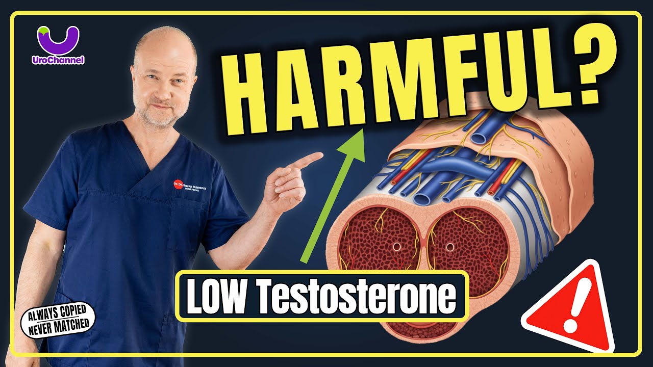 Penis Shrinking After 50 &mdash; The Testosterone Link
