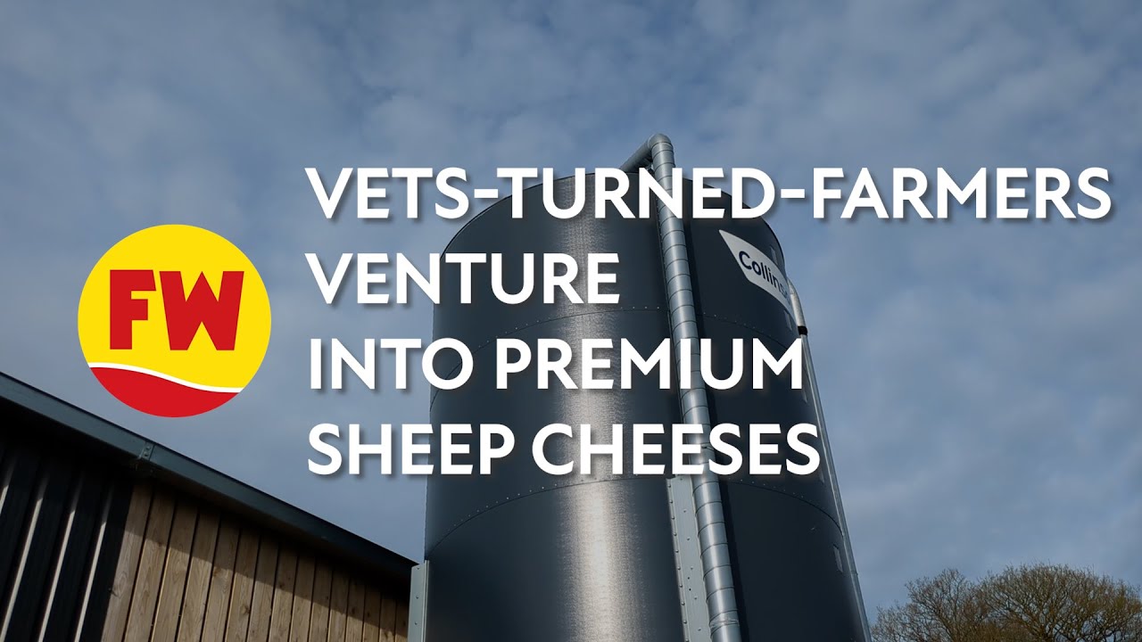 What's in your livestock shed? visits a sheep dairy