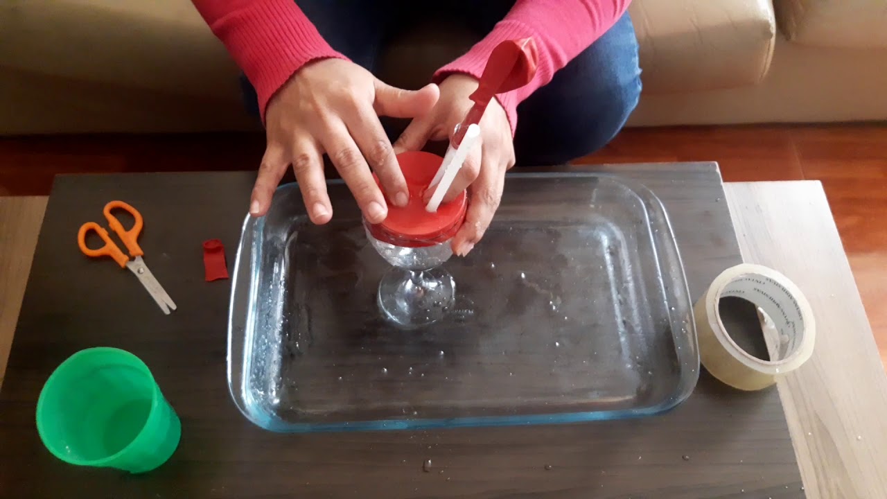 Miércoles 17 - Ciencia y ambiente - Experimento del Sistema Circulatorio
