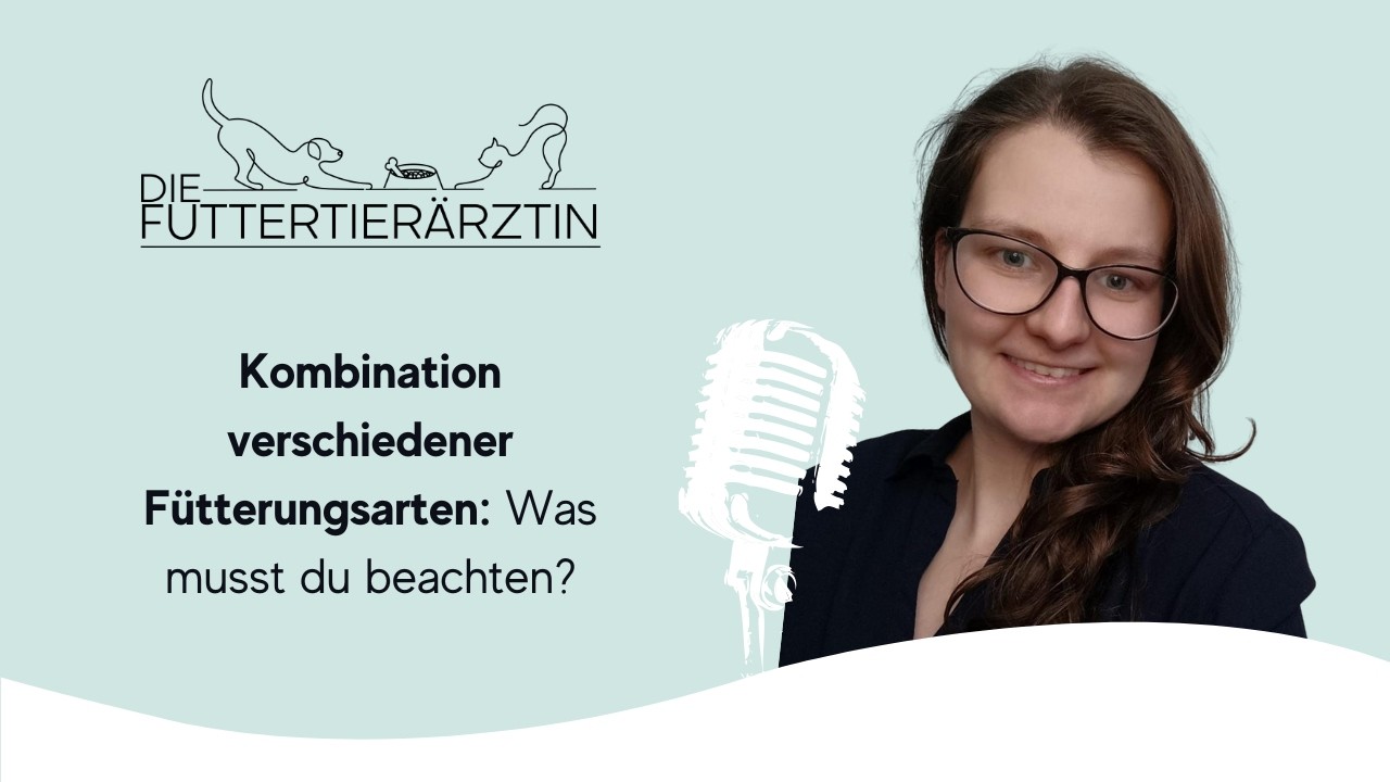 Kombination verschiedener Fütterungsarten: Was musst du beachten?