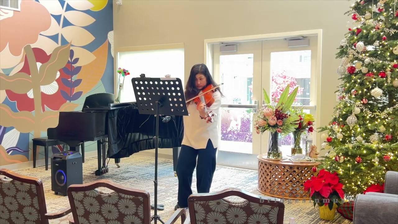 Bridges in Music Performance 217