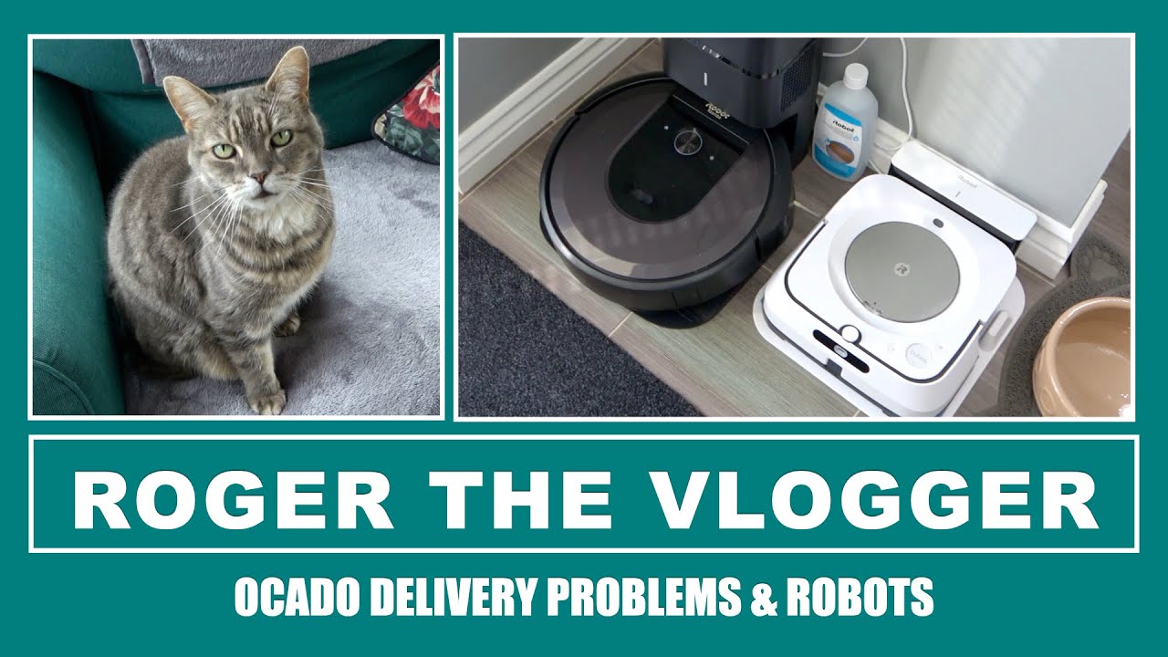 Cute Cat, Ocado Problems & Robot Helpers
